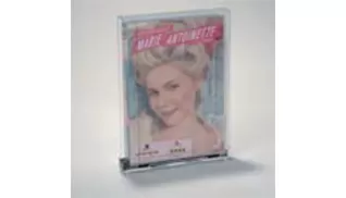 0501-0500 DVD T 안전 DLS