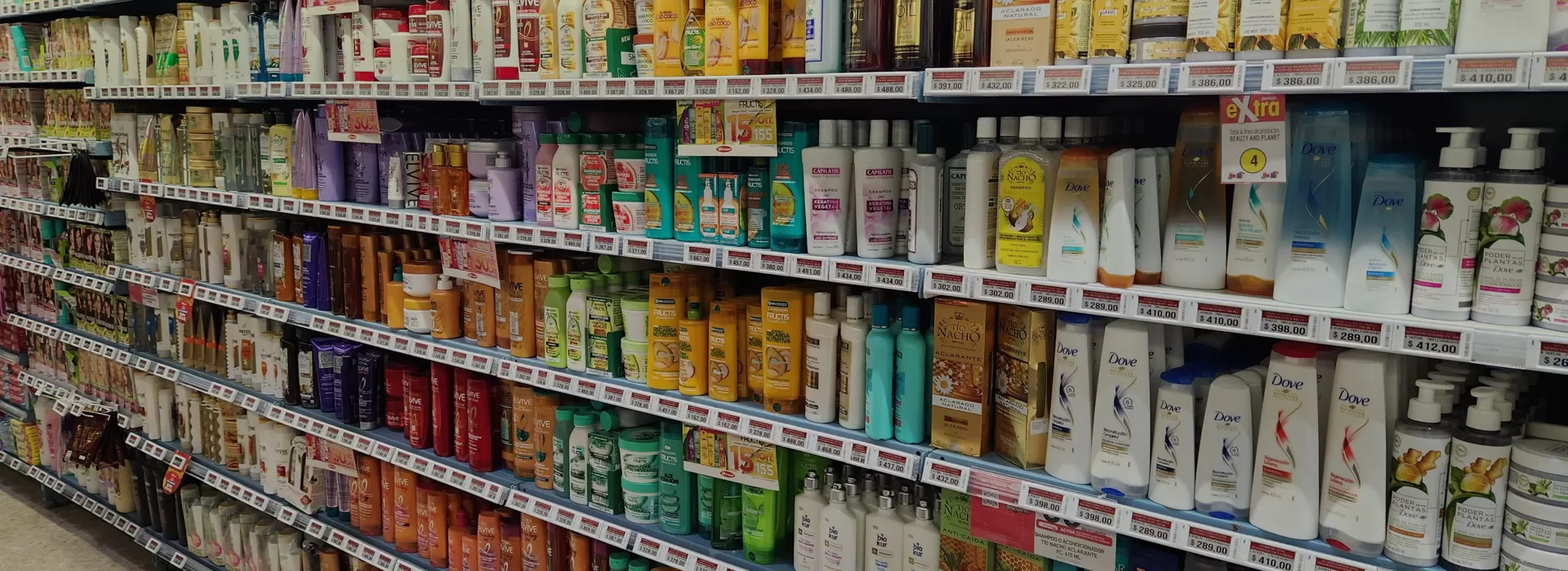 ESL 시스템 장치