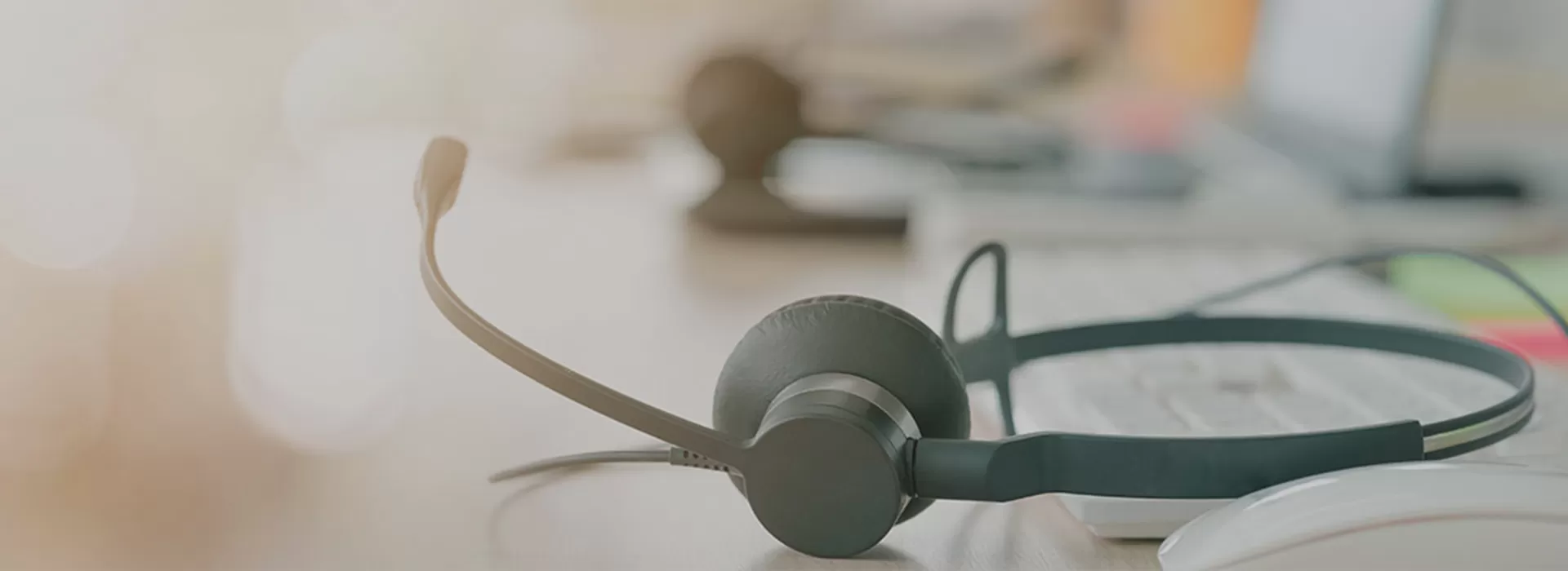 하드 태그와 소프트 태그